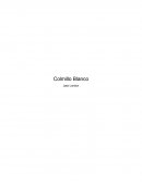 Colmillo blanco es una obra que nos narra la historia de un lobo y su vida salvaje