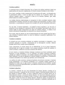 RESEÑA Cuestiones políticas