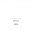 Características del Mercado de Capitales Chileno.