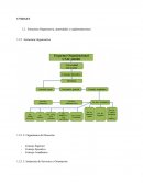 Estructura Organizativa, autoridades y reglamentaciones.