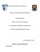 ENSAYO: BACILLUS ANTHRACIS.