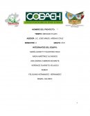 Proyecto del cobaeh.