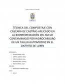 BIORREMEDIACIÓN DE SUELOS OCNTAMIANDOS POR HIDROCARBUROS.