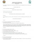 El Patrón, Sujeto Obligado o Representante Legal.