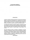 PLAN DE MANEJO AMBIENTAL ADECUADO AL CULTIVO DE ARROZ.