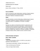 TRABAJO PRACTICO ADMINISTRACIION DEL PERSONAL