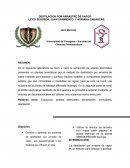 Extraccion de aceites esenciales.