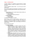 Planificación de plantillas.