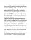 Rocas metamórficas.