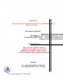 VISUALIZACIÓN DE IMÁGENES A TRAVÉS DE LA PERSISTENCIA DE LA VISIÓN CON LED’S