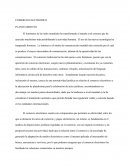 COMERCIO ELECTRONICO. PLANTEAMIENTO