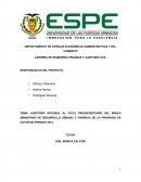 Perfil PRoyecto.