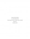 Sistema Integrado de Gestión en Calidad, Ambiente y Seguridad.