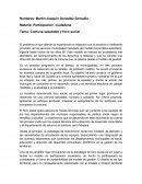 Participacion ciudadana.