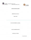 ESTRUCTURAS DE ACERO MEMORIA DE CÁLCULO