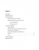 Informe Juridico caso la voz del can