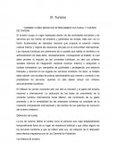 TURISMO COMO MEDIO DE INTERCAMBIO CULTURAL Y FUENTE DE DIVISAS