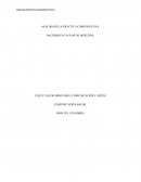 ANALISIS DE LA PRÁCTICA COMUNICATIVA RACISMO EN UN PAIS DE MESTIZOS