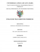 ENSAYO DE TRATAMIENTOS TERMICOS.