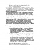 Explica con detalle la estructura blastocelomada, y las controversias sobre este grupo.