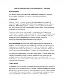 Ensayo del analizis de los sistemas duros y blandos.