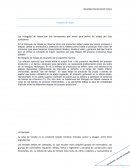 Triangulos de hayek.