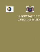 Actividad 1 VISITA A EMPRESA (Comandos Básicos)