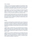 El diario secreto de lucas.