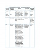 Enfermedades causadas por microorganismos