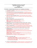 Domestic Political Structures: Law, Constitutions, the Judiciary