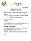 ESQUEMA PARA LA ELABORACIÓN DEL PLAN DE TRABAJO.