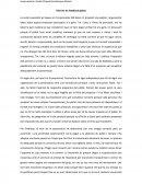 Informe de feedback.