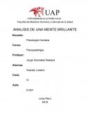 ANALISIS DE UNA MENTE BRILLANTE