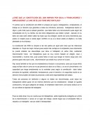 Cree que la Constitución del 2008 ampara por igual a trabajadores y empleadores?