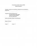 ¿Cuáles son los beneficios y riesgos del uso de fertilizantes y plaguicidas?