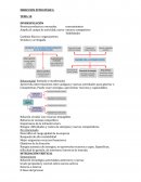 TEMA 10 DIVERSIFICACIÓN
