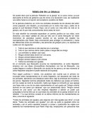 Tema- REBELION EN LA GRANJA.