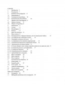 Diseño del manual de procesos, procedimientos y funciones para la empresa Imagen
