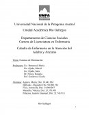 Estomas de eliminacion