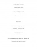 Analisis critico de "capitanes de la arena"