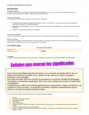 Posibilidad de aplicar los conceptos teóricos estudiados al análisis y resolución de situaciones prácticas