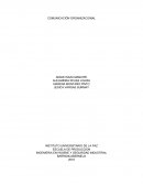 Comunicacion organizacional. INGENIERIA EN HIGIENE Y SEGURIDAD INDUSTRIAL