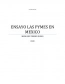 ENSAYO PYMES EN MEXICO