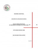 Ensayo estrategias economicas
