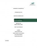 Plan de Negocios CEMEX