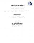 Factores Motivacionales en los jóvenes de Reynosa