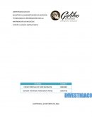 TECNOLOGÍAS DE INFORMACIÓN PARA LA INFORMACIÓN DE NEGOCIOS