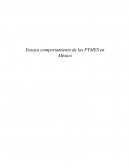 Ensayo comportamiento de las PYMES en México