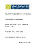 RESUMEN LA META TOERIA DE RESTRICCIONES
