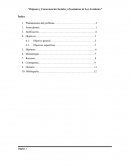 Orígenes y consecuencias sociales y económicas de los accidentes de tránstito
